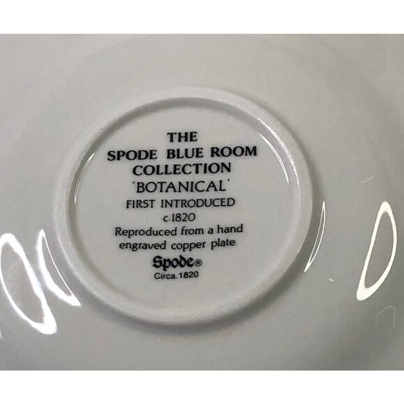 The Spode Blue Room Collection Botanical Teacup and Saucer - Picture 7 of 11